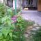 Lahij Central Family House