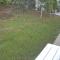 Kingmosei Hide away - Basseterre