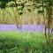 3 Bedroom Amazing Home In Hames Boucres