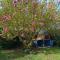 Cottage le petit Tôt