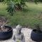 Ti Cocon Des Iles, Charming Bungalow Private Spa - Les Anses-dʼArlets