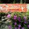 Apartments & Rooms Dinko