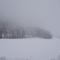 Wiesenblick Mils