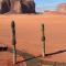 Wadi Rum Bedouin Camp