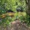 Appartement Balnéo vue sur cascade - Saulxures-sur-Moselotte