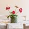 Country House Tenuta Fornacelle