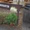 Pension Spreewaldhof Leipe