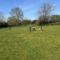 Caravan in Holcot - Sleeps 6 - Pet Friendly - Holcot