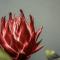 Long Beach Selfcatering Namibia
