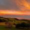 Saddleback Grove Kiama