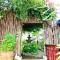 Artists Place Trat