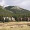 Blue River Condos 3 Bed 2 Bath BRCR