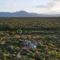 Villa Tall Horse - Zandspruit Bush and Aero Estate