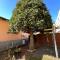 Corte del Pino - Losone
