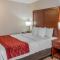 Comfort Inn Mount Shasta Area