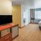 Comfort Inn Mount Shasta Area