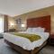 Comfort Inn University Area