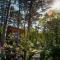 Theodosius Forest Village - Glamping in Vipava valley
