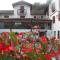 Logis Hôtel Andreinia & Cabanes - 伊特兰卡比