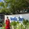 Turtle Inn Dharavandhoo - Dharavandhoo