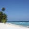 Turtle Inn Dharavandhoo - Dharavandhoo