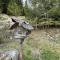 ALMNEST - LACHTAL