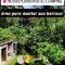 Hostel e Camping Rio das Pedras