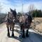 Guesthouse 20 min from Sjusjoen, 30 min from Lillehammer and Hamar, 2h from Oslo - Ringsaker