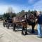 Guesthouse 20 min from Sjusjoen, 30 min from Lillehammer and Hamar, 2h from Oslo - Ringsaker