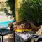 Villa appartamento e piscina anche esclusiva parco del cilento
