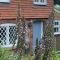 Cute cob cottage - Winterborne Stickland