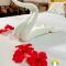 Zanzllywood Uroa Beach Suites Hotel Apartment