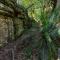 The Hollows - Kangaroo Valley