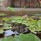 Pondy Jungle Resort with Swimming pool - 黎明之村