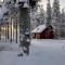 Cozy and comfortable cottage, Levi Lapland