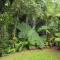 Tropical Bliss bed and breakfast - Mena Creek