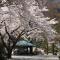 Itamuro Onsen Daikokuya