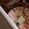 Pousada Vilarejo das Oliveiras