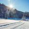 Feriendorf Murau by ALPS RESORTS