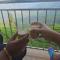 BEAUTY SPOT MUNNAR