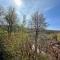Natur Pur - Waldurlaub im Tiny House - Ronshausen