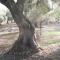 Masseria Le Celline