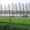Jardin de Lieze