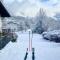 Montafon Alpen Chalet