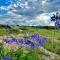 Oaklands Farm Stay