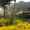 Sau Meo Mountain View