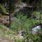 Rivercrest Lodge - North Wawona