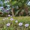 Jungle Experience in Badolina- wooden cabins and sea view - Montezuma