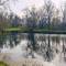 Studio sur les rives dallier