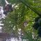 First Point Arusha Hostel - أروشا